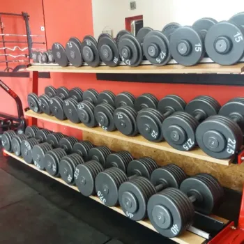 Jednoručky profi 2,5-100kg